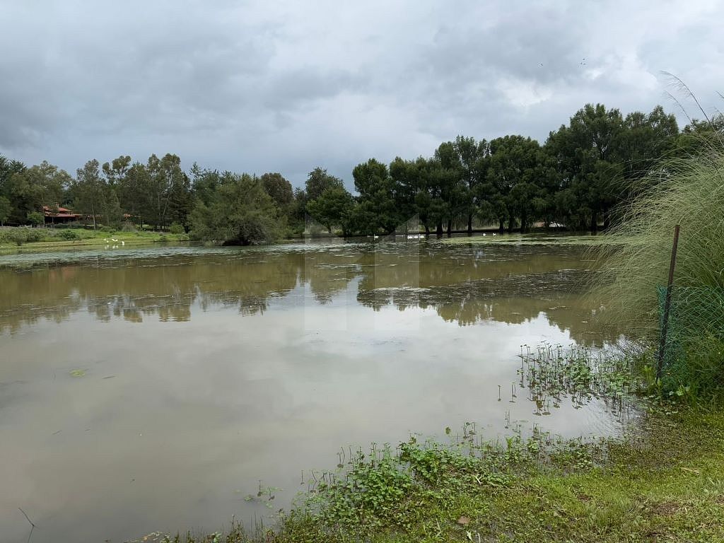 Lote em Tapalpa, Tapalpa, foto 15 de 24