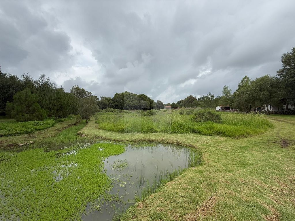 Lote em Tapalpa, Tapalpa, foto 14 de 24
