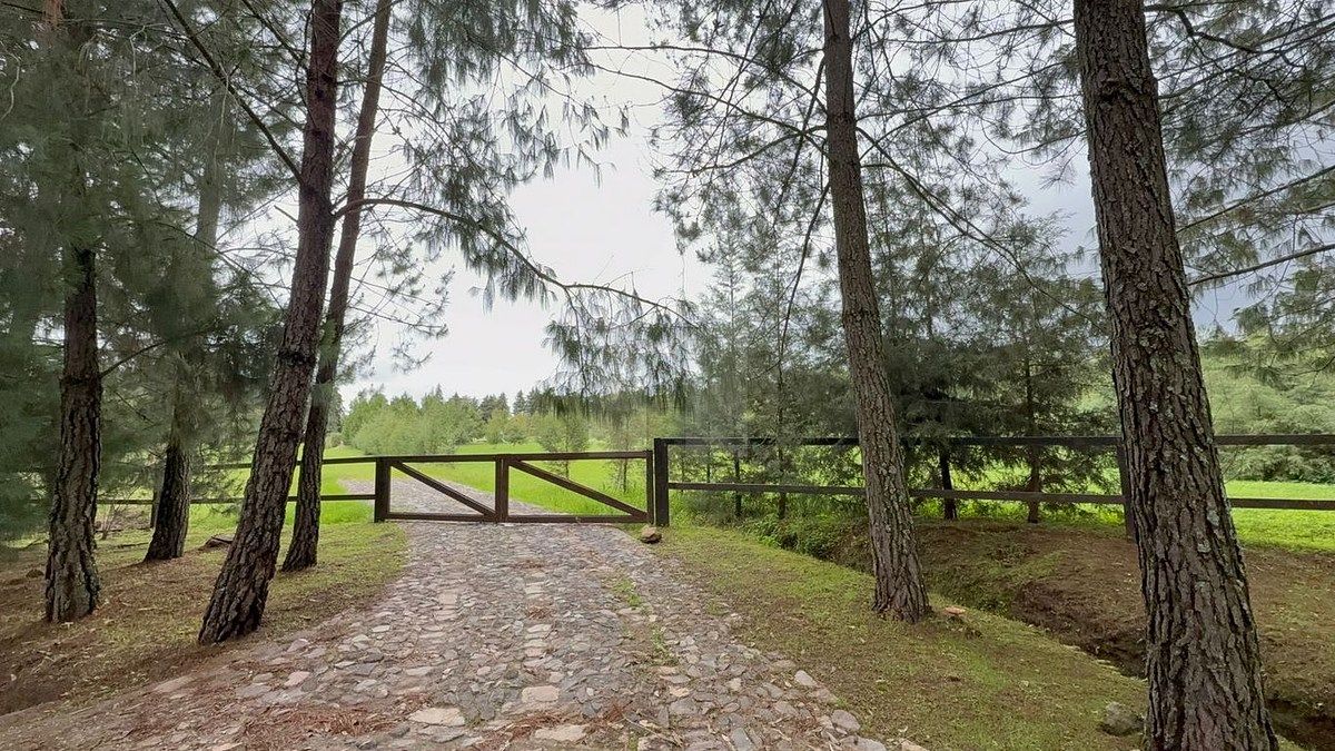 Lote em Tapalpa, Tapalpa, foto 16 de 24