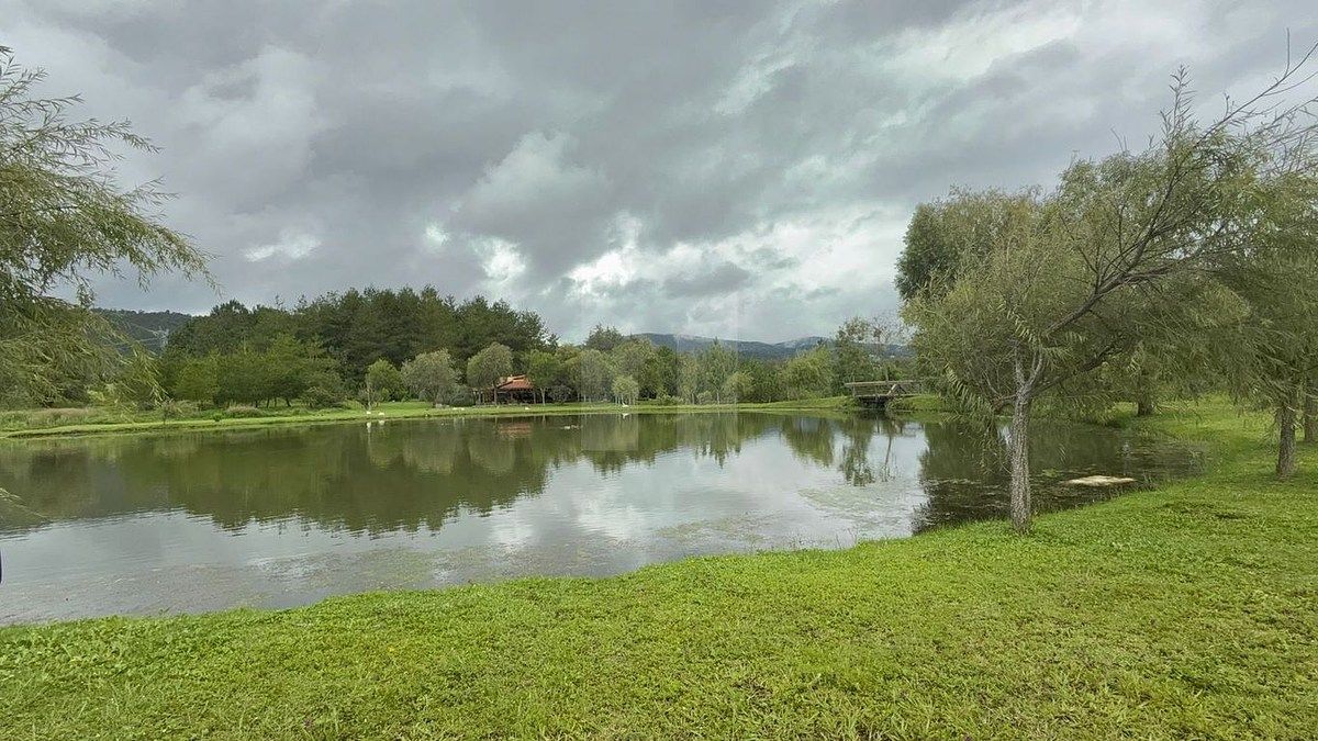 Lote em Tapalpa, Tapalpa, foto 18 de 24