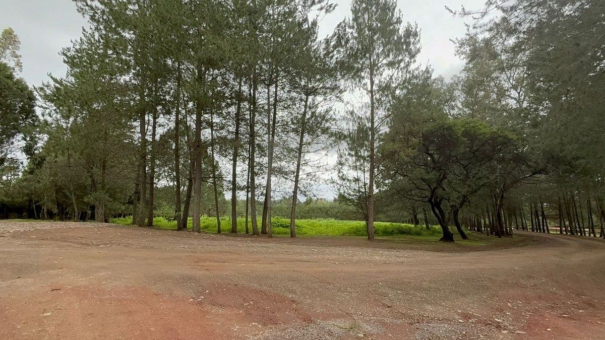 Lote em Tapalpa, Tapalpa, foto 20 de 24