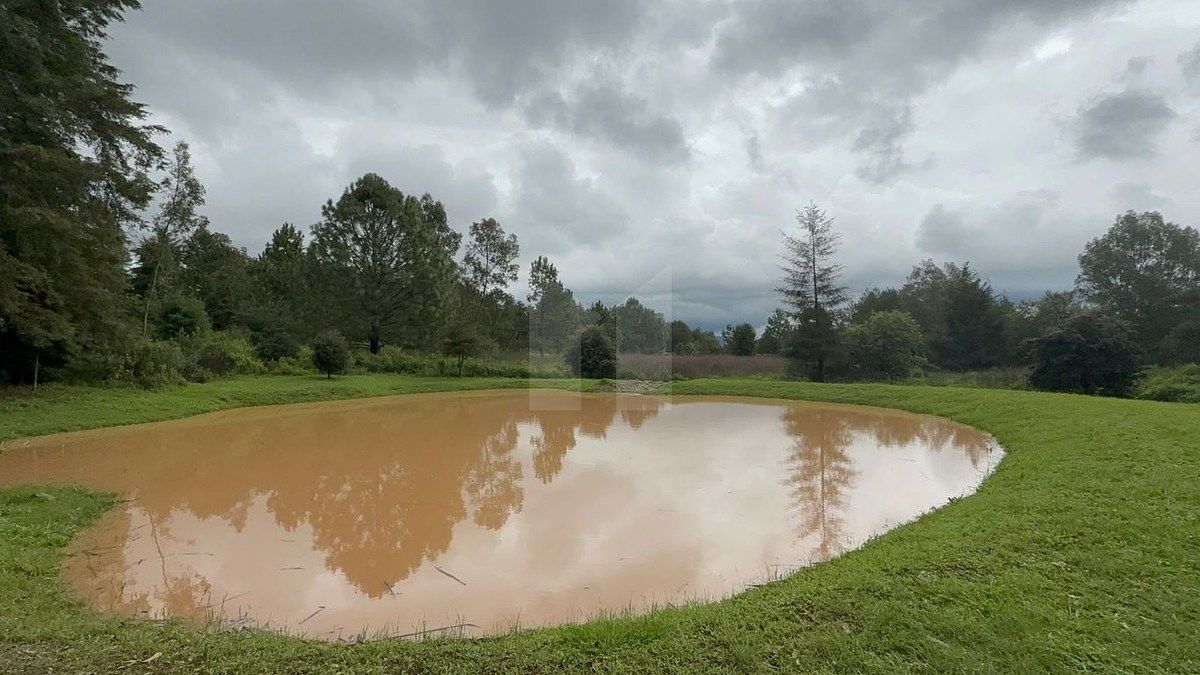 Lote em Tapalpa, Tapalpa, foto 21 de 24
