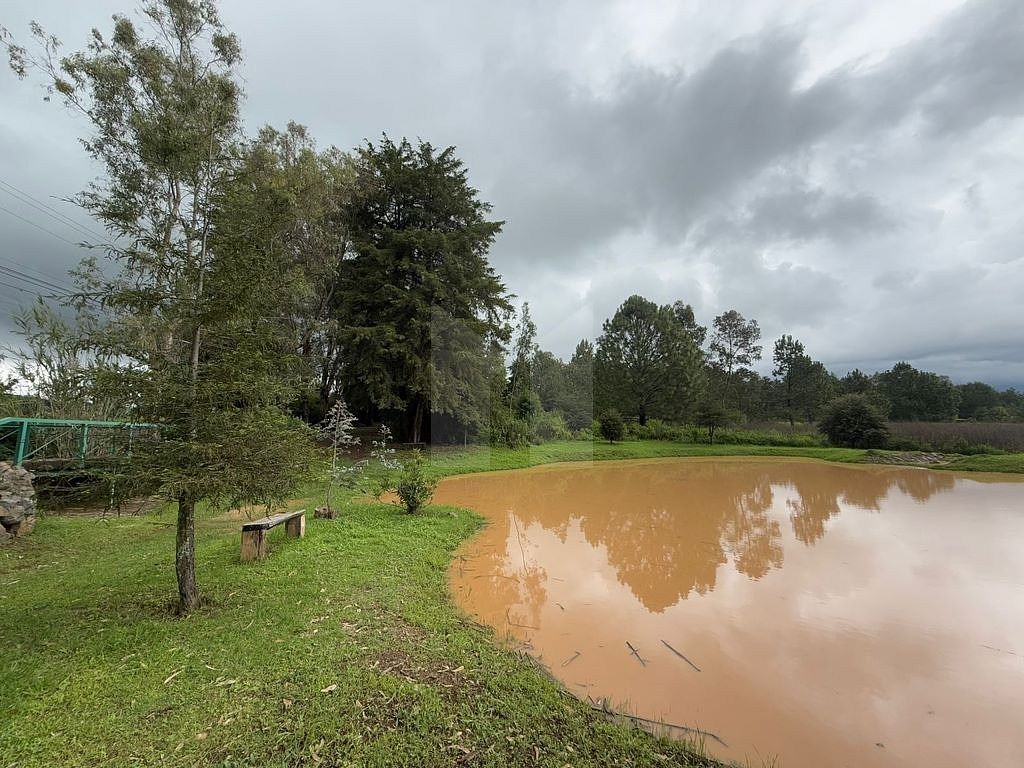 Lote em Tapalpa, Tapalpa, foto 23 de 24