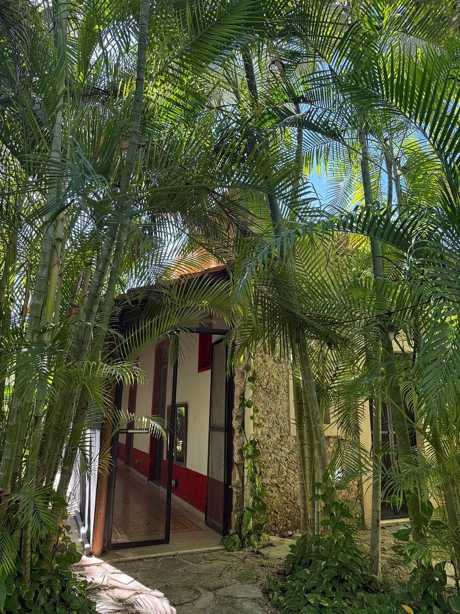 Casa en Mérida Centro, Mérida, foto 10 de 42