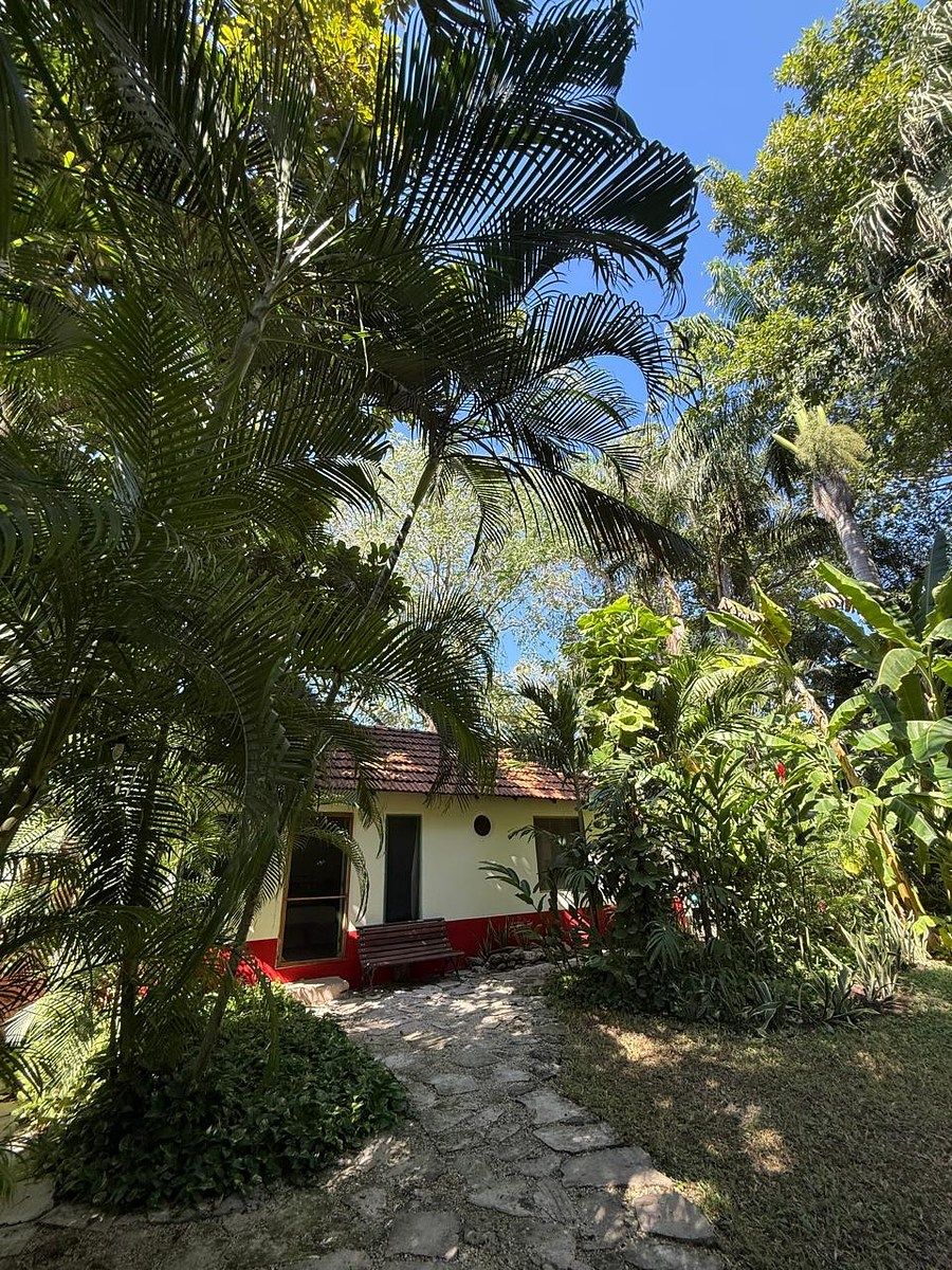 Casa en Mérida Centro, Mérida, foto 12 de 42