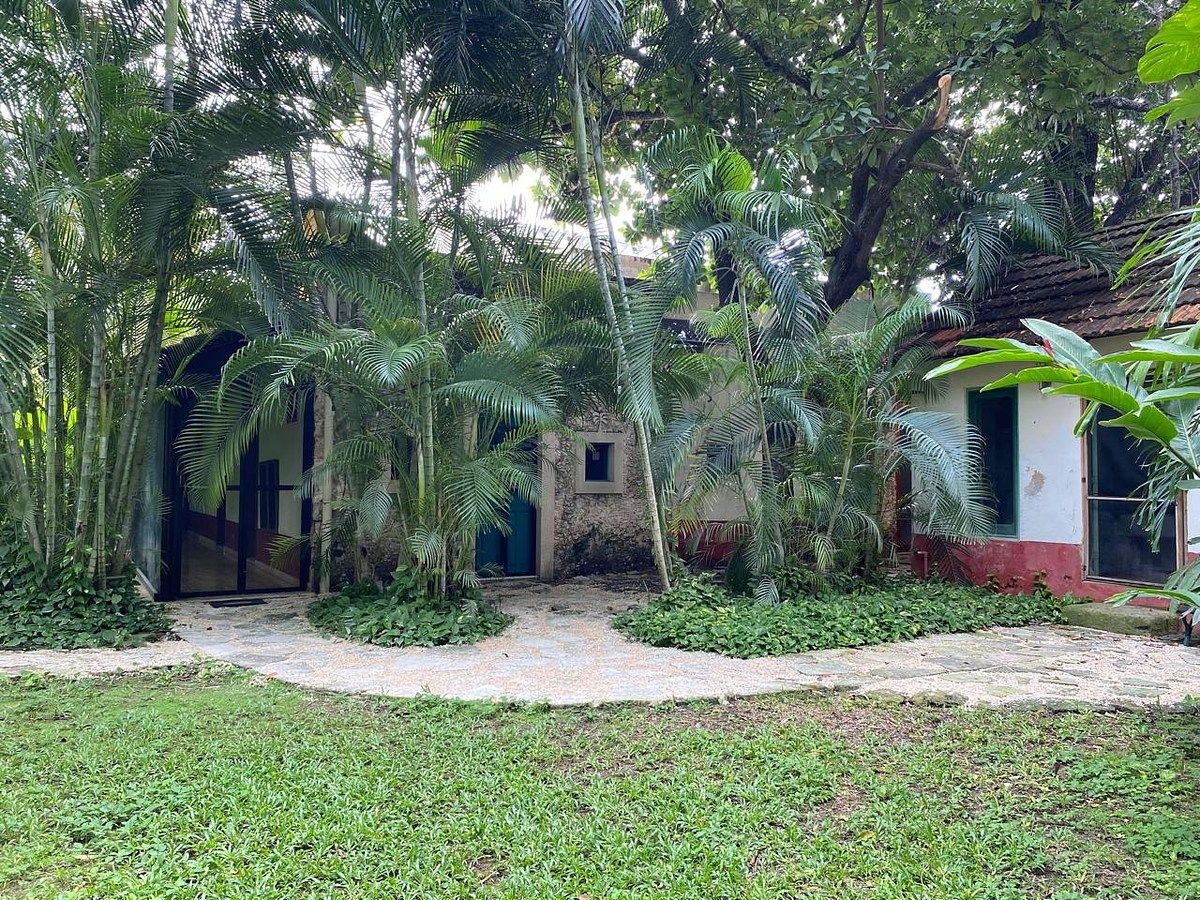 Casa en Mérida Centro, Mérida, foto 41 de 42