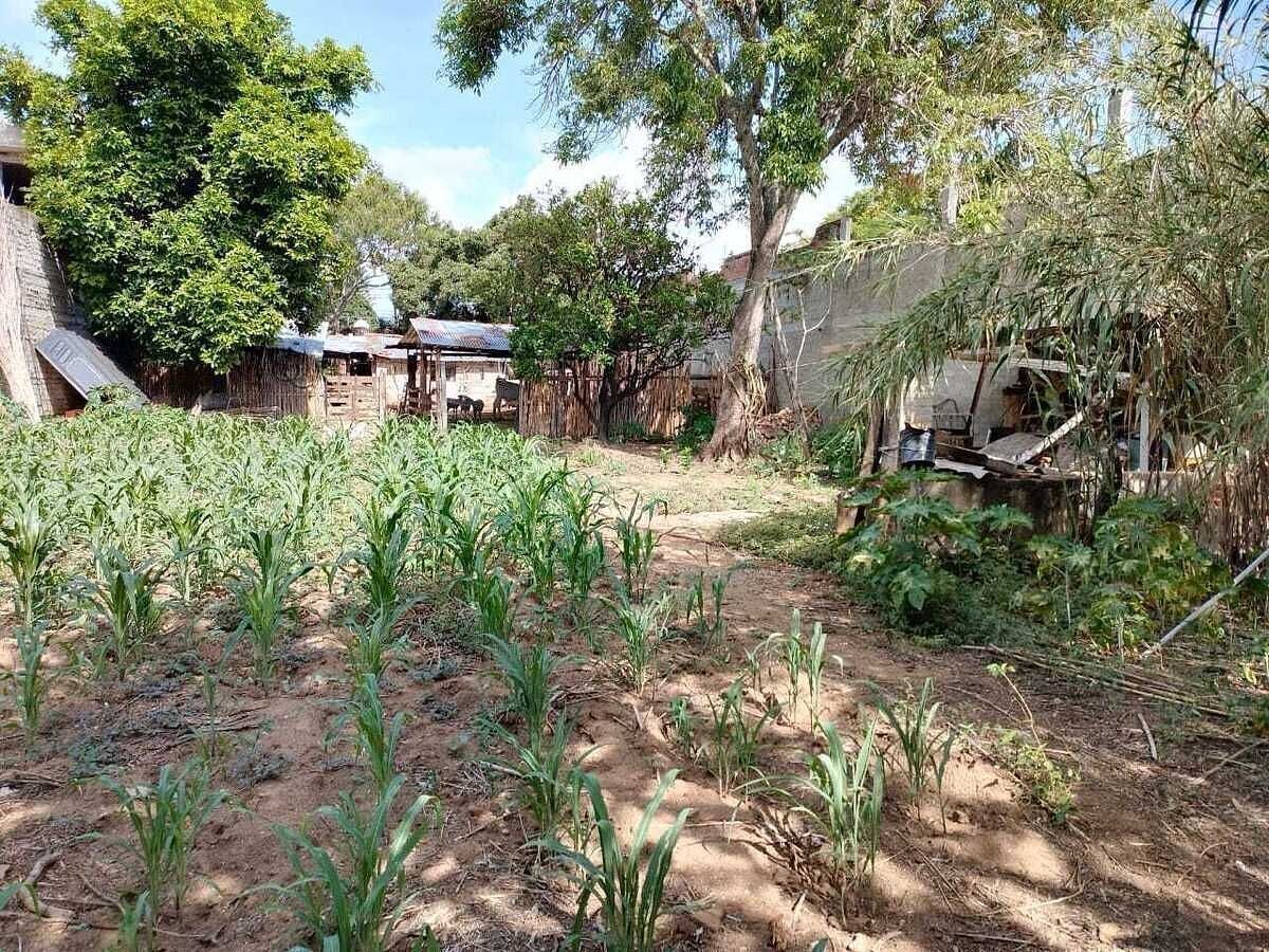 Venda de Terreno em San Pablo Huixtepec, Oaxaca, foto 1 de 10