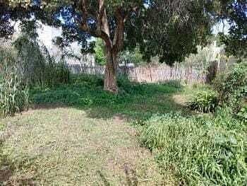 Lote em San Antonio, San Pablo Huixtepec, foto 2 de 10