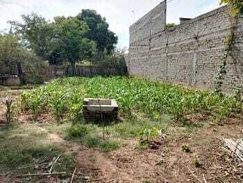 Lote em San Antonio, San Pablo Huixtepec, foto 3 de 10