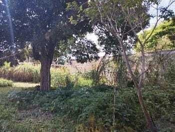Lote em San Antonio, San Pablo Huixtepec, foto 4 de 10