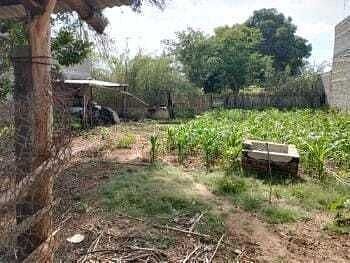 Lote em San Antonio, San Pablo Huixtepec, foto 6 de 10