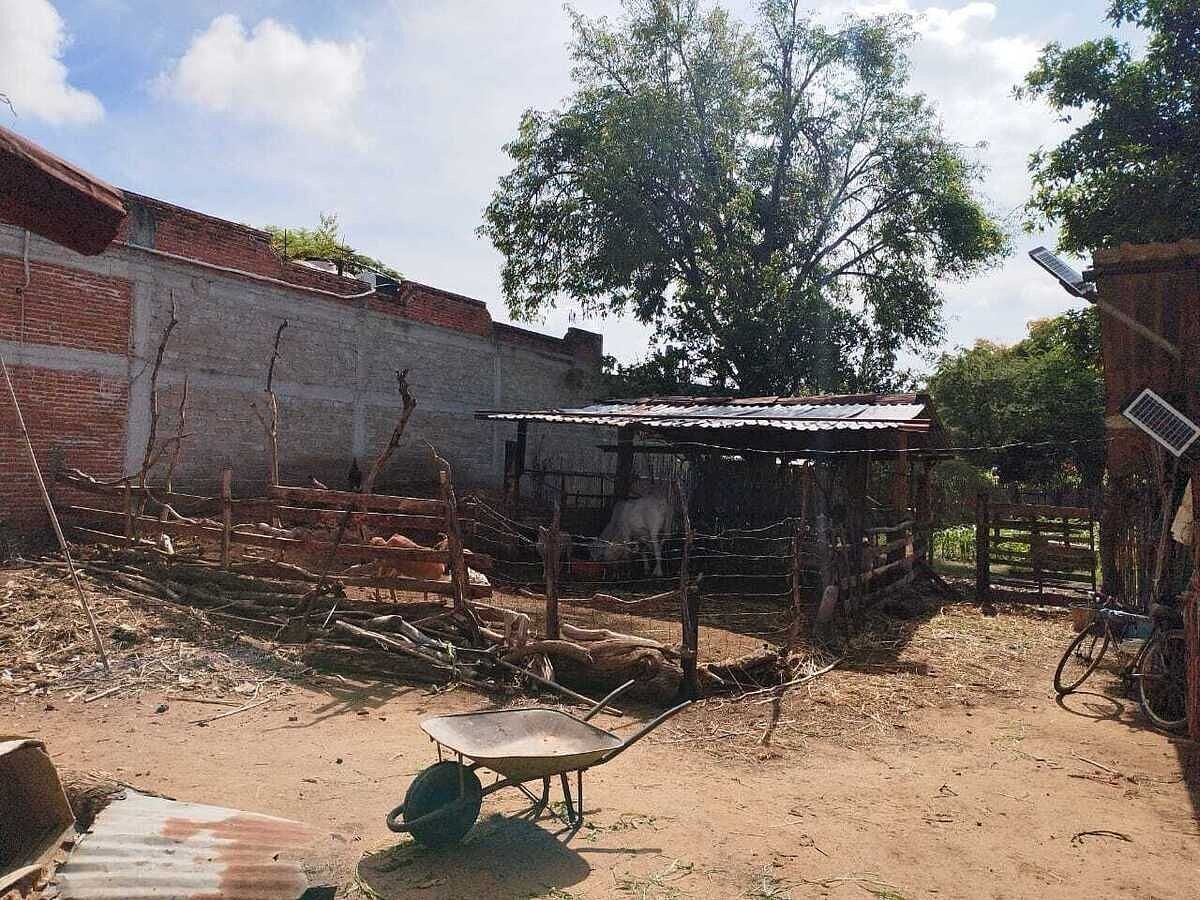Lote em San Antonio, San Pablo Huixtepec, foto 8 de 10