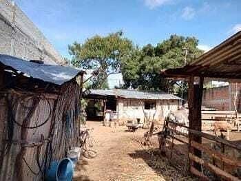 Lote em San Antonio, San Pablo Huixtepec, foto 10 de 10