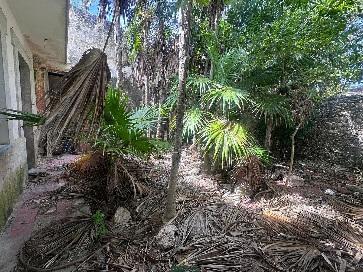 House in Progreso Centro, Progreso, photo 13 of 13