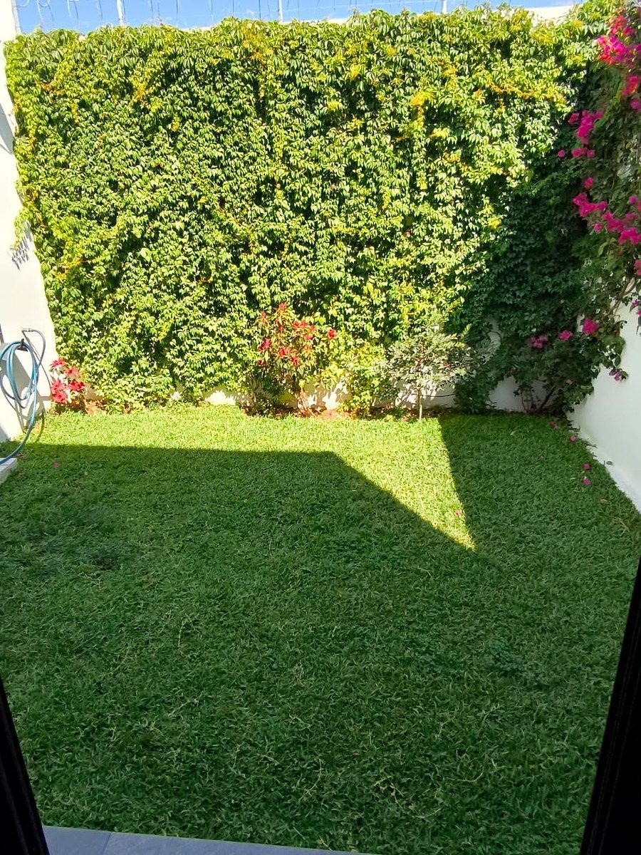 Jardín interior, photo 5 of 6