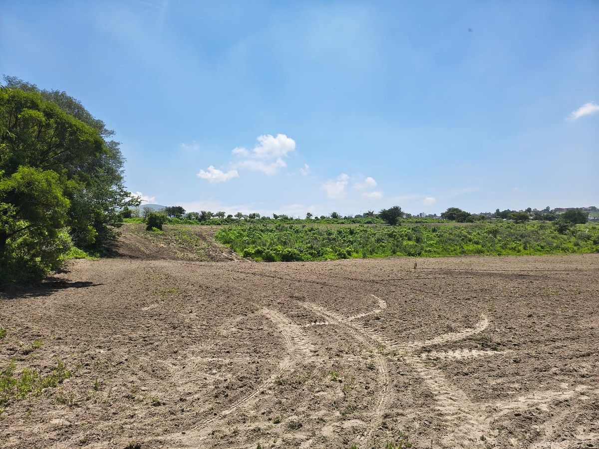 TERRENO IDEAL FRACCIONAMIENTO SANTA ANITA ZAPOPAN - foto 5