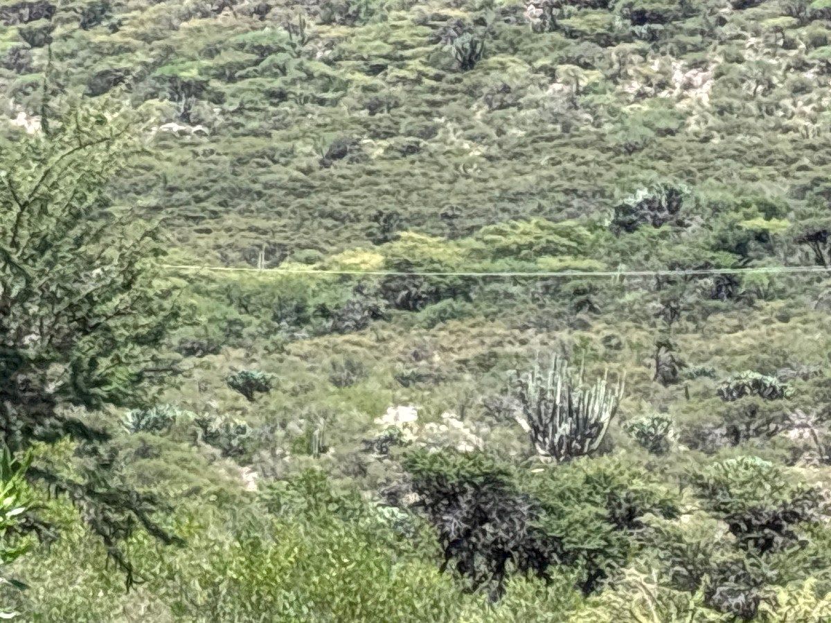 Terreno industrial en Tierra Blanca, Tierra Blanca, foto 3 de 17