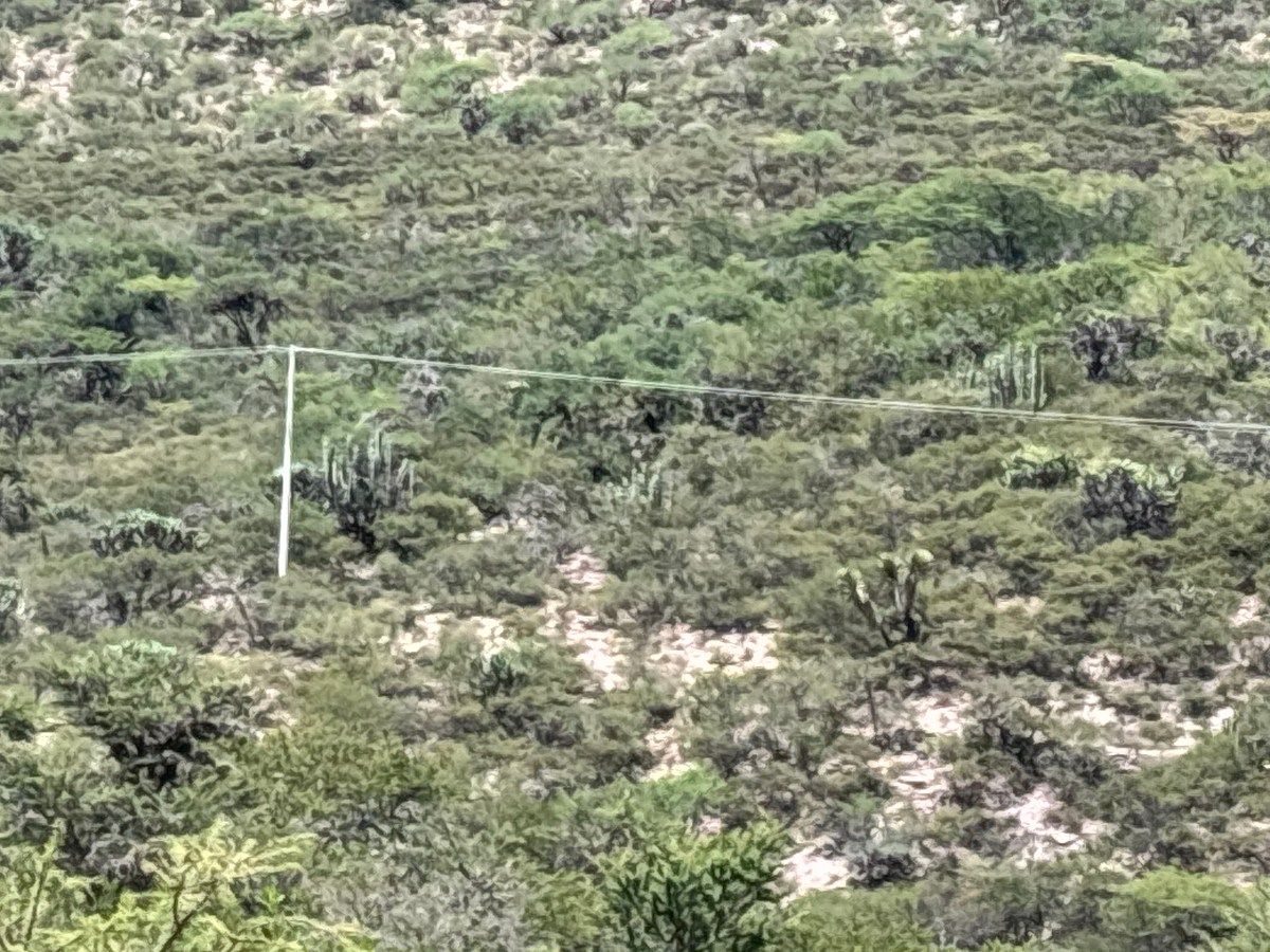 Terreno industrial en Tierra Blanca, Tierra Blanca, foto 4 de 17