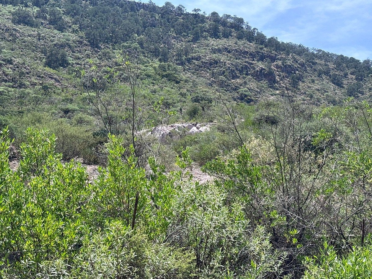 Terreno industrial en Tierra Blanca, Tierra Blanca, foto 5 de 17