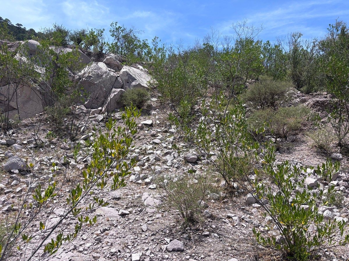 Terreno industrial en Tierra Blanca, Tierra Blanca, foto 10 de 17