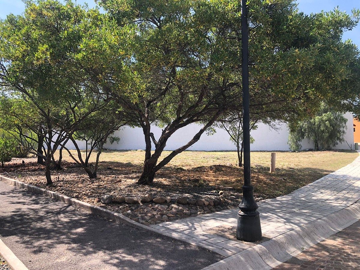 Terreno en Independencia, San Miguel de Allende, foto 6 de 19