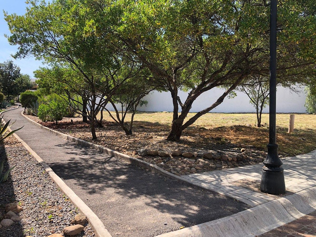 Terreno en Independencia, San Miguel de Allende, foto 9 de 19