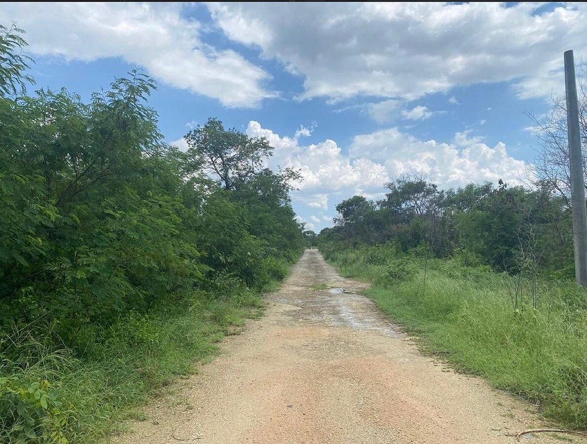 Land for sale | Komchen, photo 1 of 6