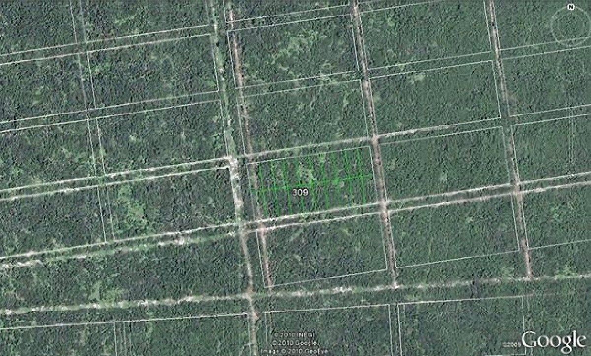 Lot in Komchen, Mérida, photo 5 of 6