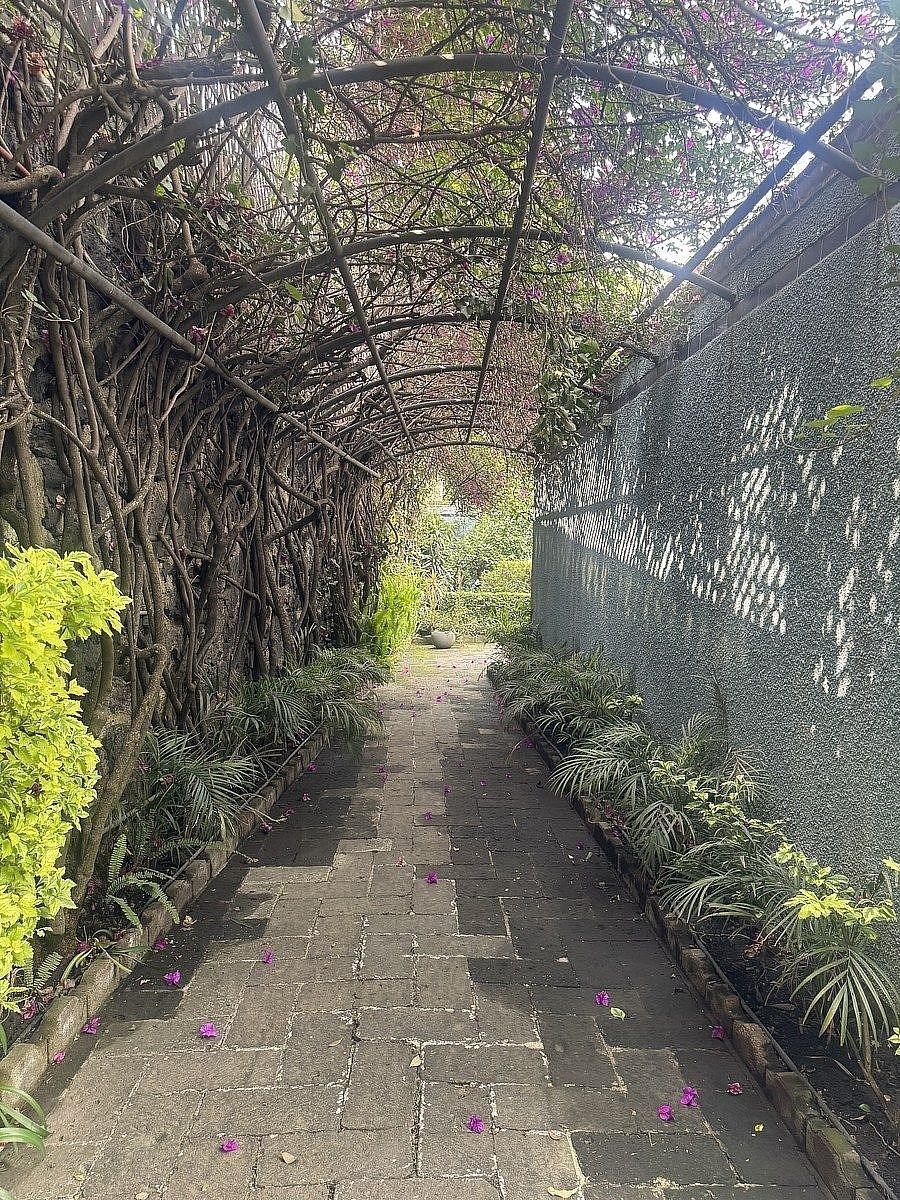 Casa em Jardines del Pedregal, Álvaro Obregón, foto 23 de 25