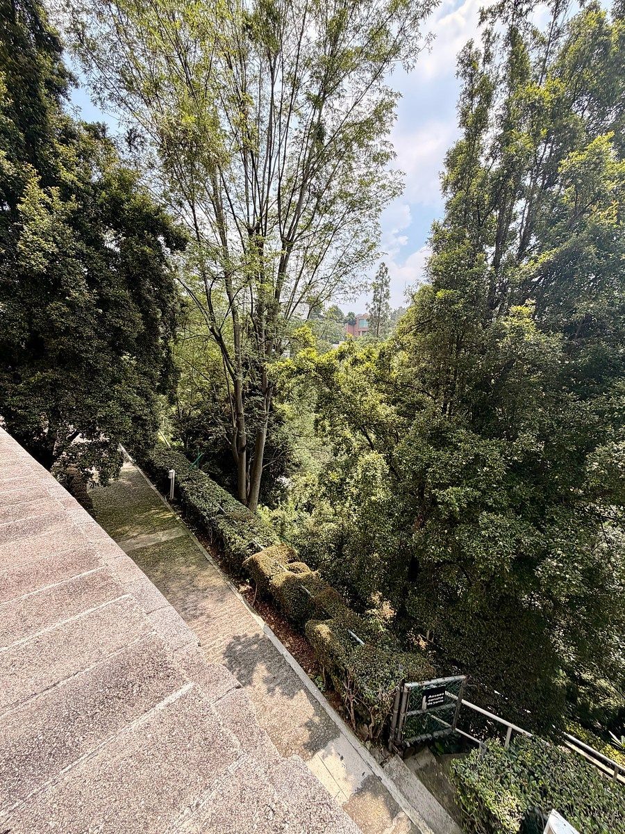 Departamento en Lomas de Chapultepec II Sección, Miguel Hidalgo, foto 28 de 35