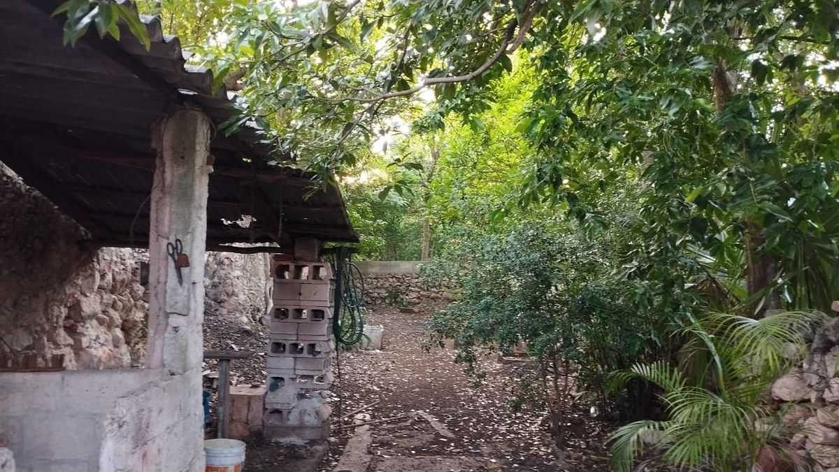 Casa em Delio Moreno Canton, Mérida, foto 17 de 18