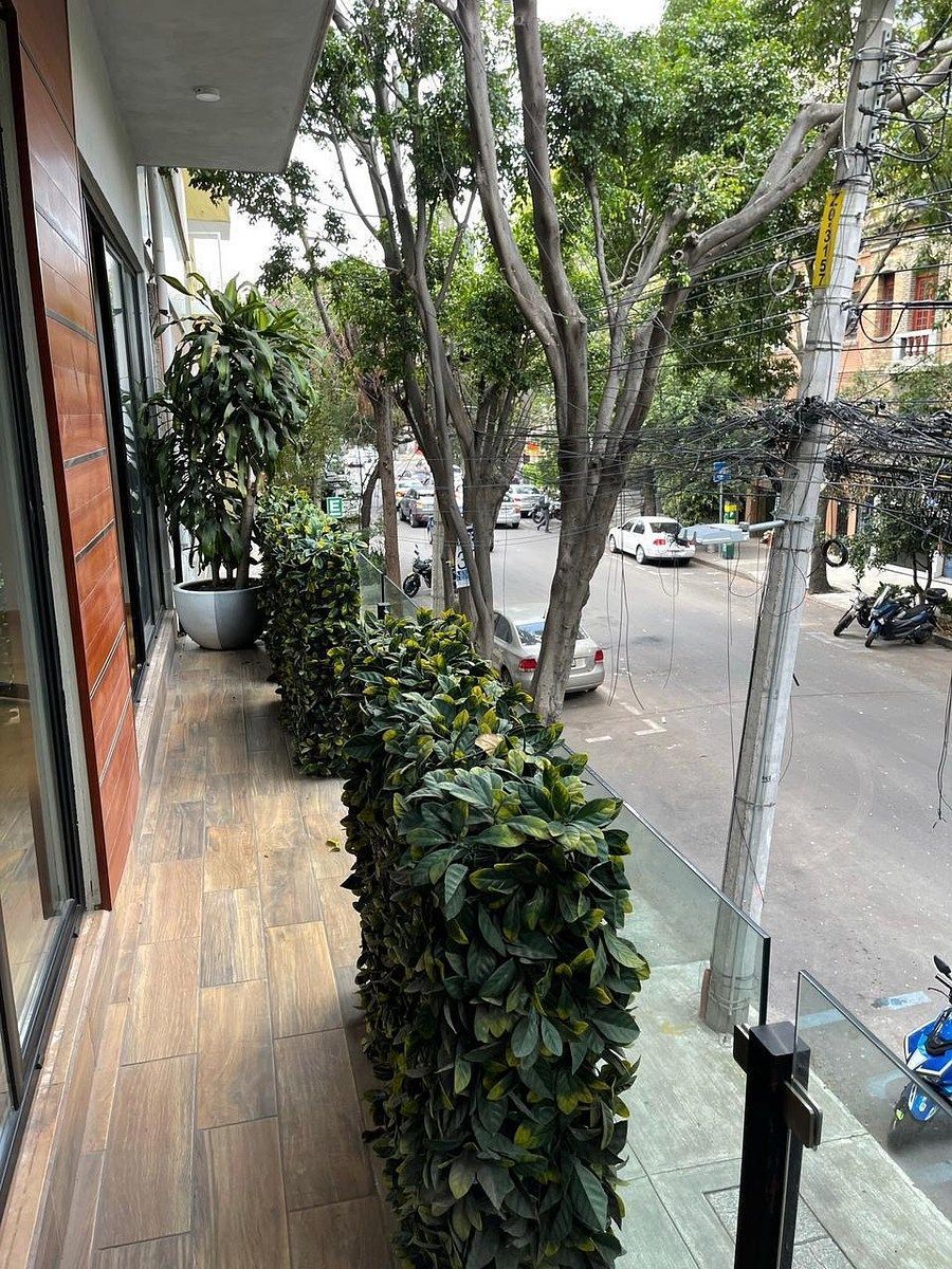 Apartment in Roma Norte, Cuauhtémoc, photo 28 of 31