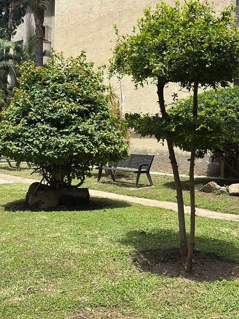 Departamento en Chapalita Oriente, Zapopan, foto 12 de 15