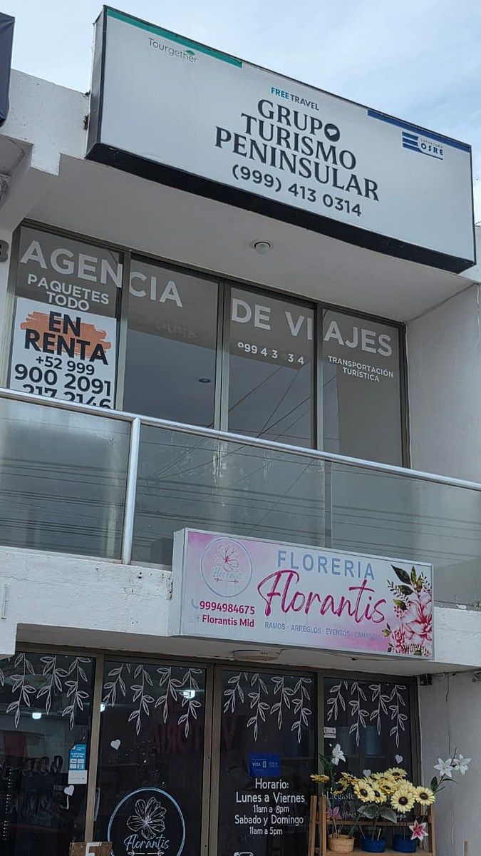 Local em Francisco de Montejo, Mérida, foto 2 de 11