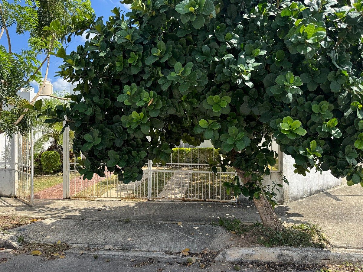 Casa em Caucel, Mérida, foto 4 de 27