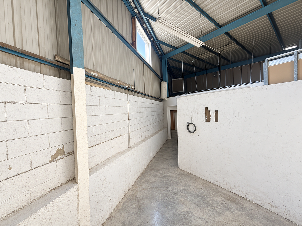 Retail Space in Neidhart, Tijuana, photo 9 of 14
