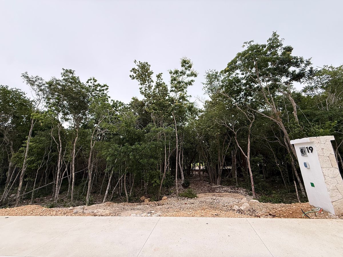 Lote em Akumal, Tulum, foto 5 de 21