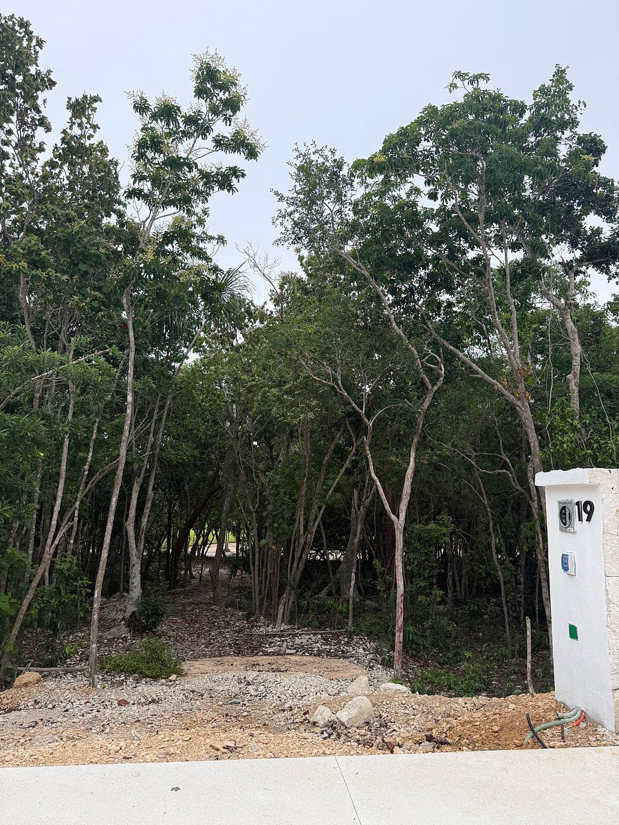 Lote em Akumal, Tulum, foto 7 de 21