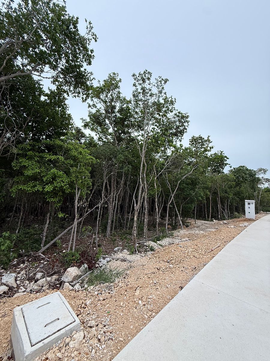 Lote em Akumal, Tulum, foto 9 de 21