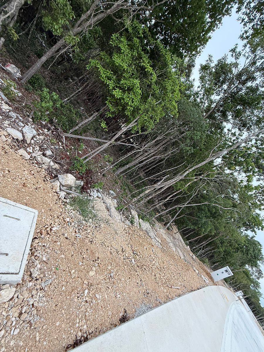 Lote em Akumal, Tulum, foto 10 de 21
