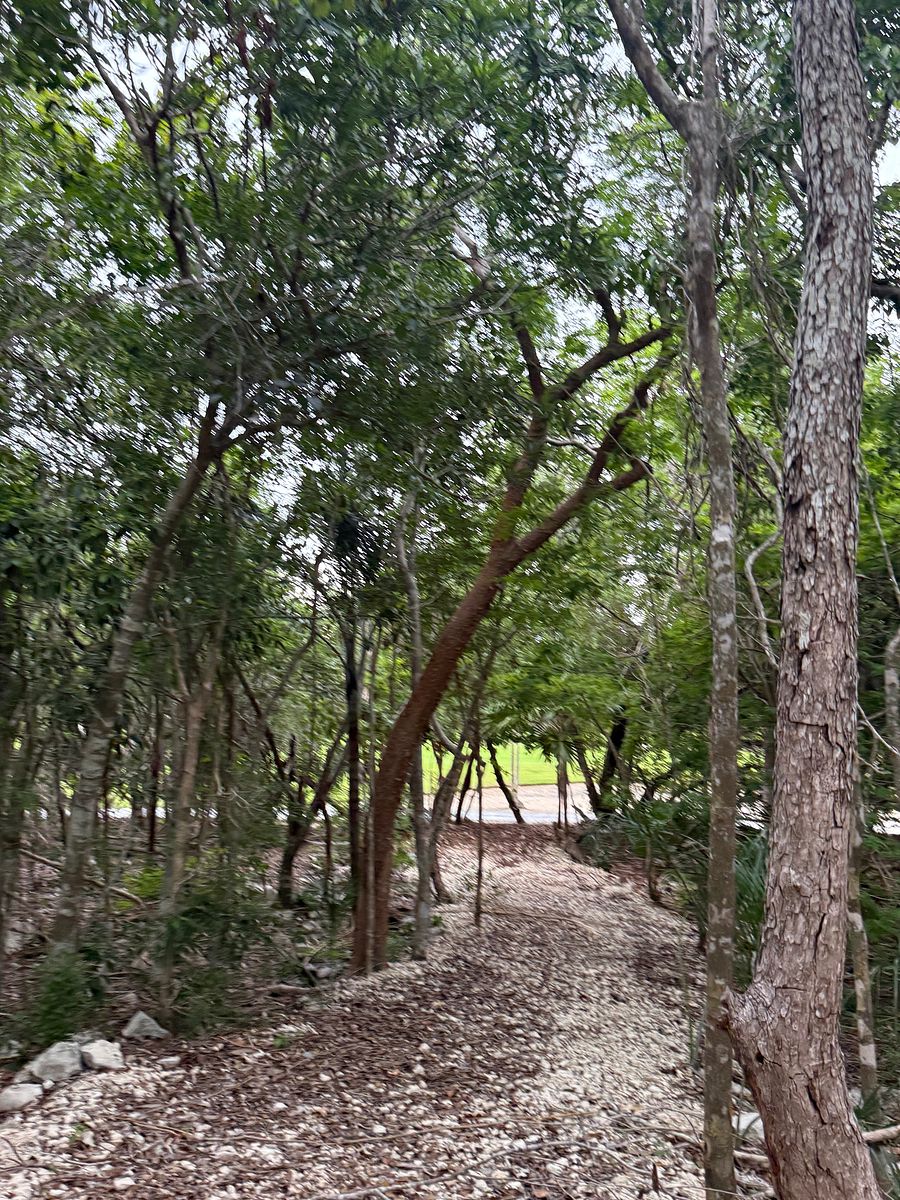 Lote em Akumal, Tulum, foto 13 de 21
