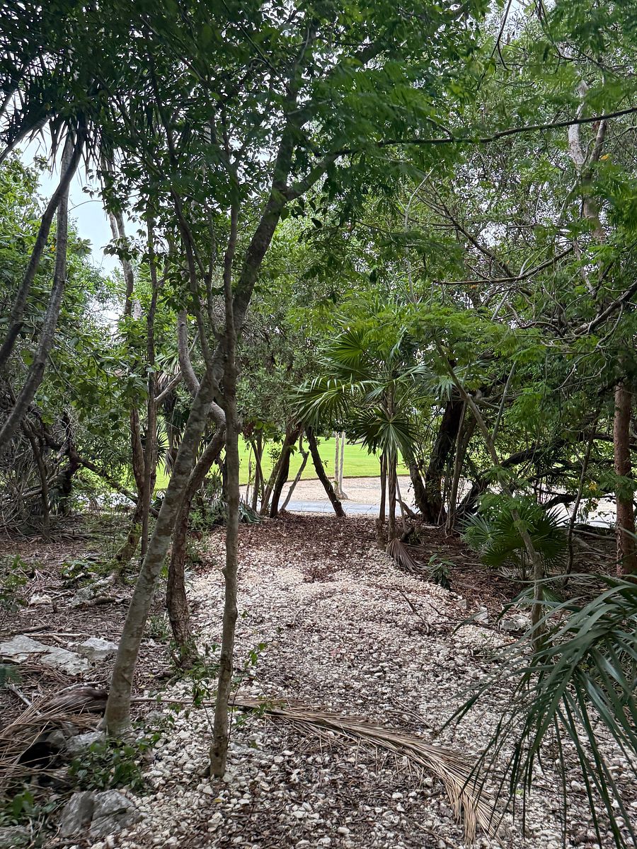 Lote em Akumal, Tulum, foto 14 de 21