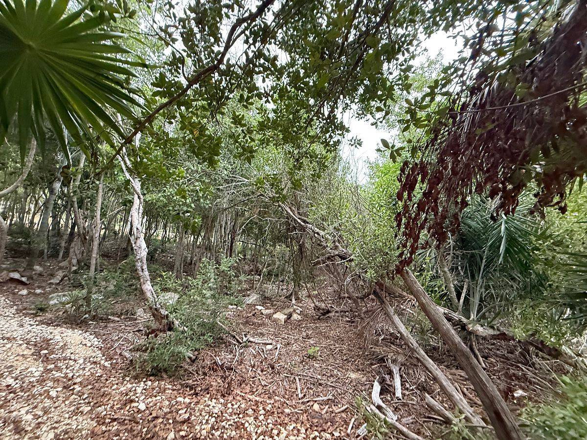 Lote em Akumal, Tulum, foto 16 de 21