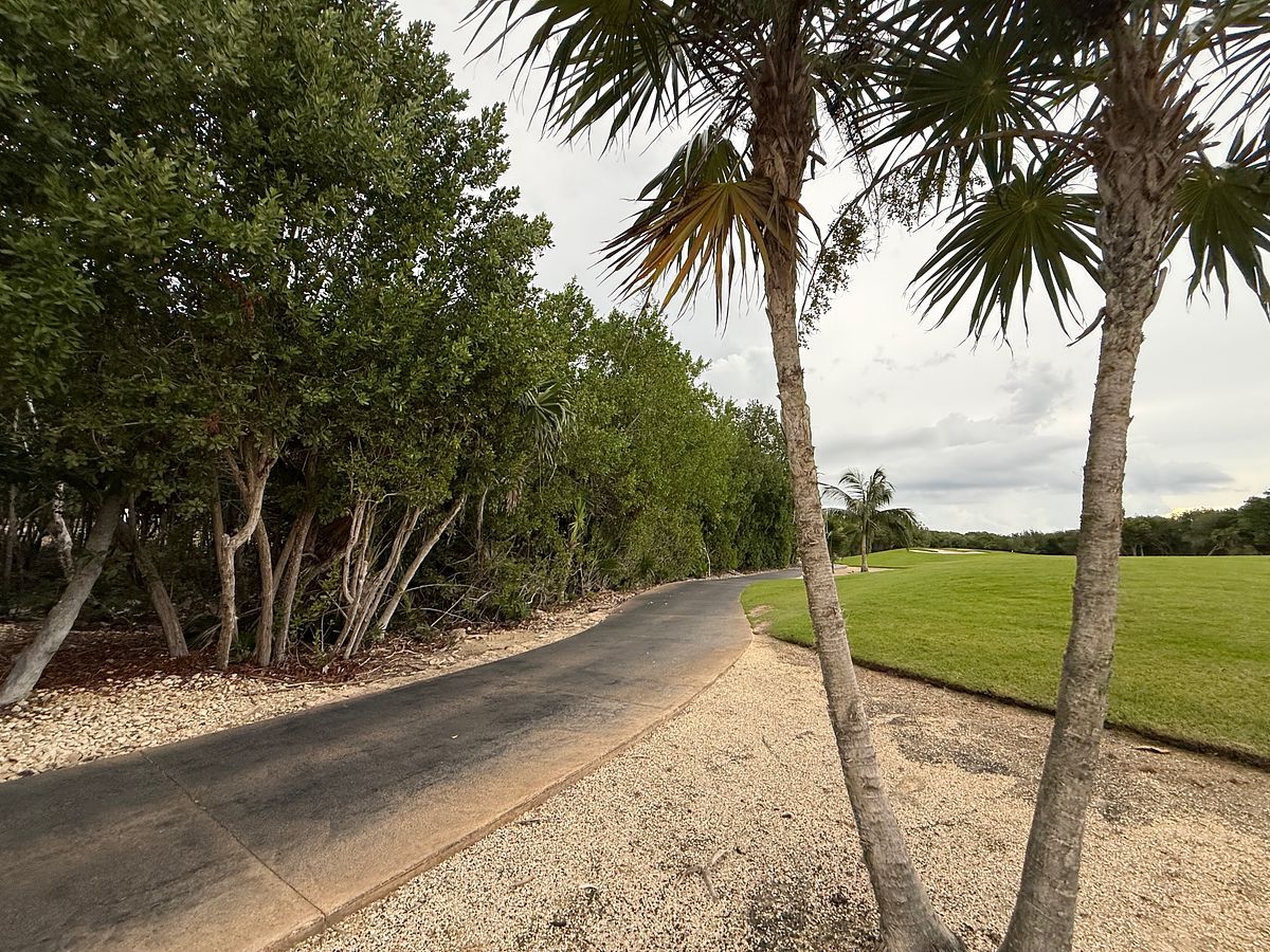 Lote em Akumal, Tulum, foto 17 de 21