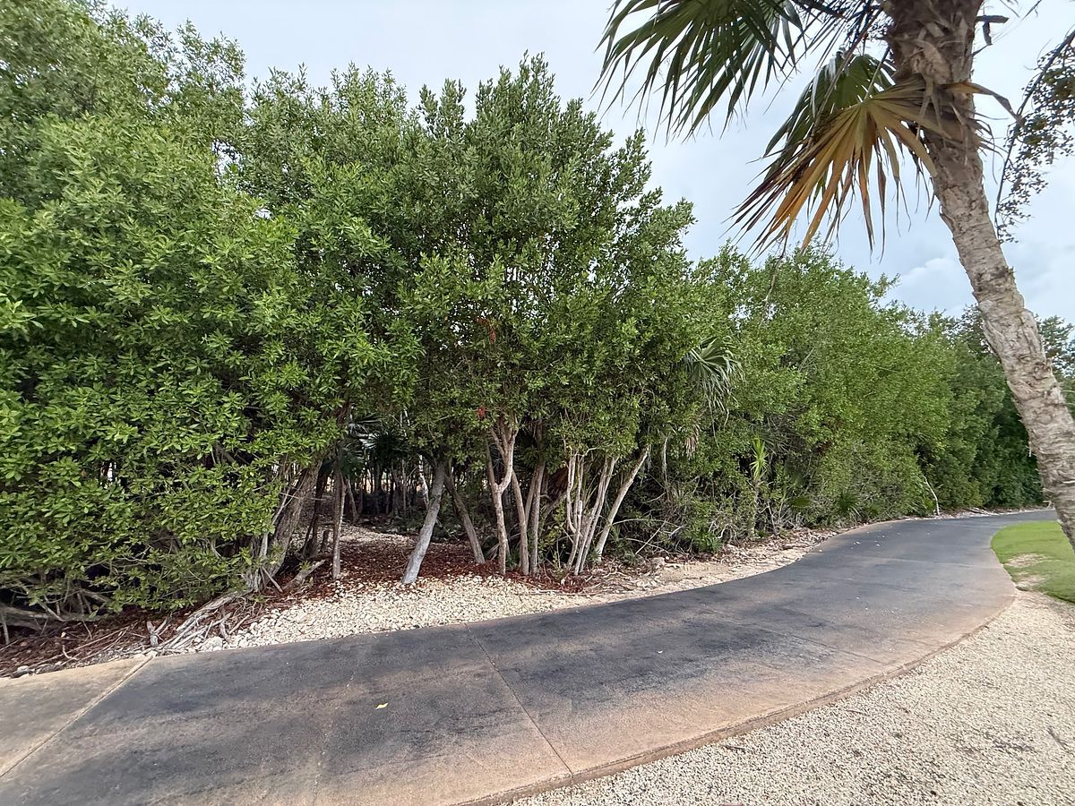 Lote em Akumal, Tulum, foto 19 de 21