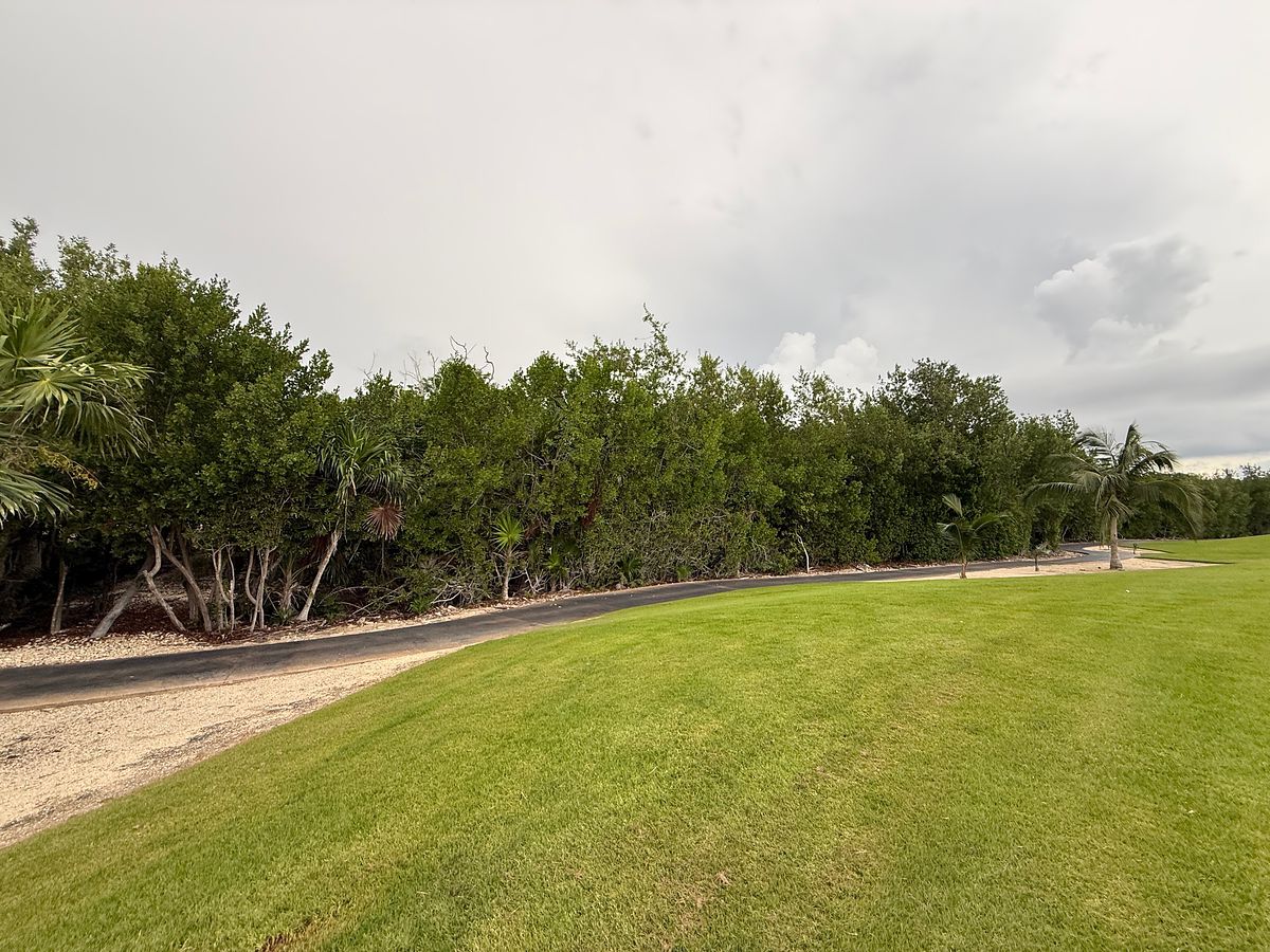 Lote em Akumal, Tulum, foto 21 de 21