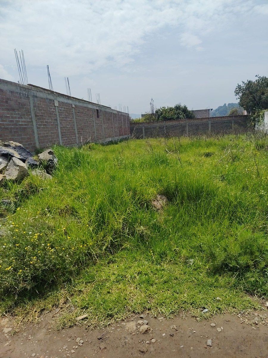 Venta de terreno rustico en Tlalmanalco, foto 1 de 7