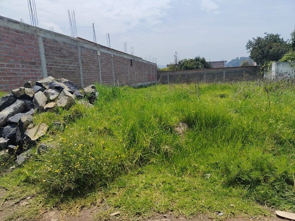 Terreno en San Pedro, Tlalmanalco, foto 4 de 7