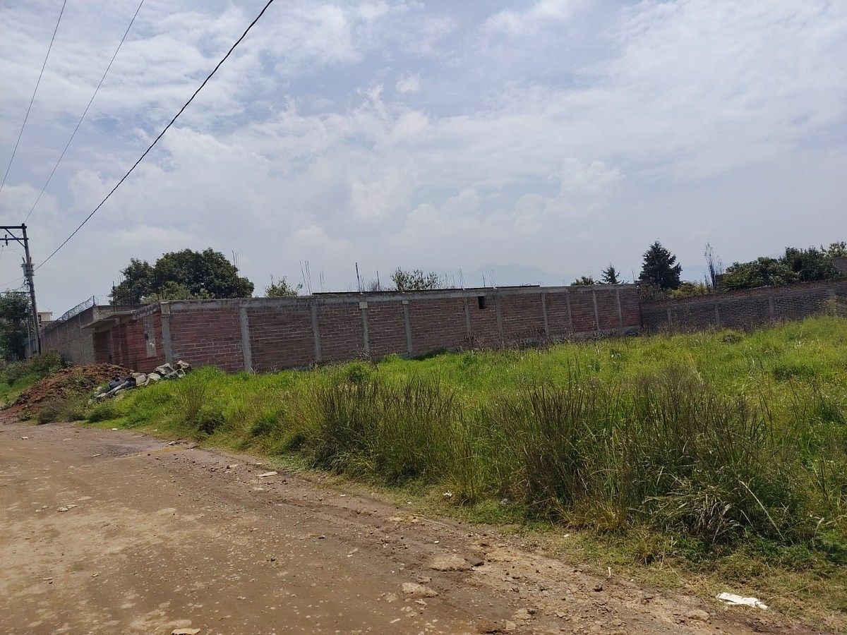 Terreno en San Pedro, Tlalmanalco, foto 5 de 7