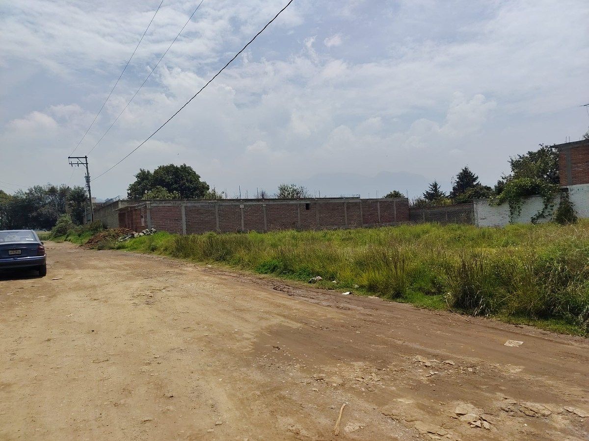 Terreno en San Pedro, Tlalmanalco, foto 7 de 7